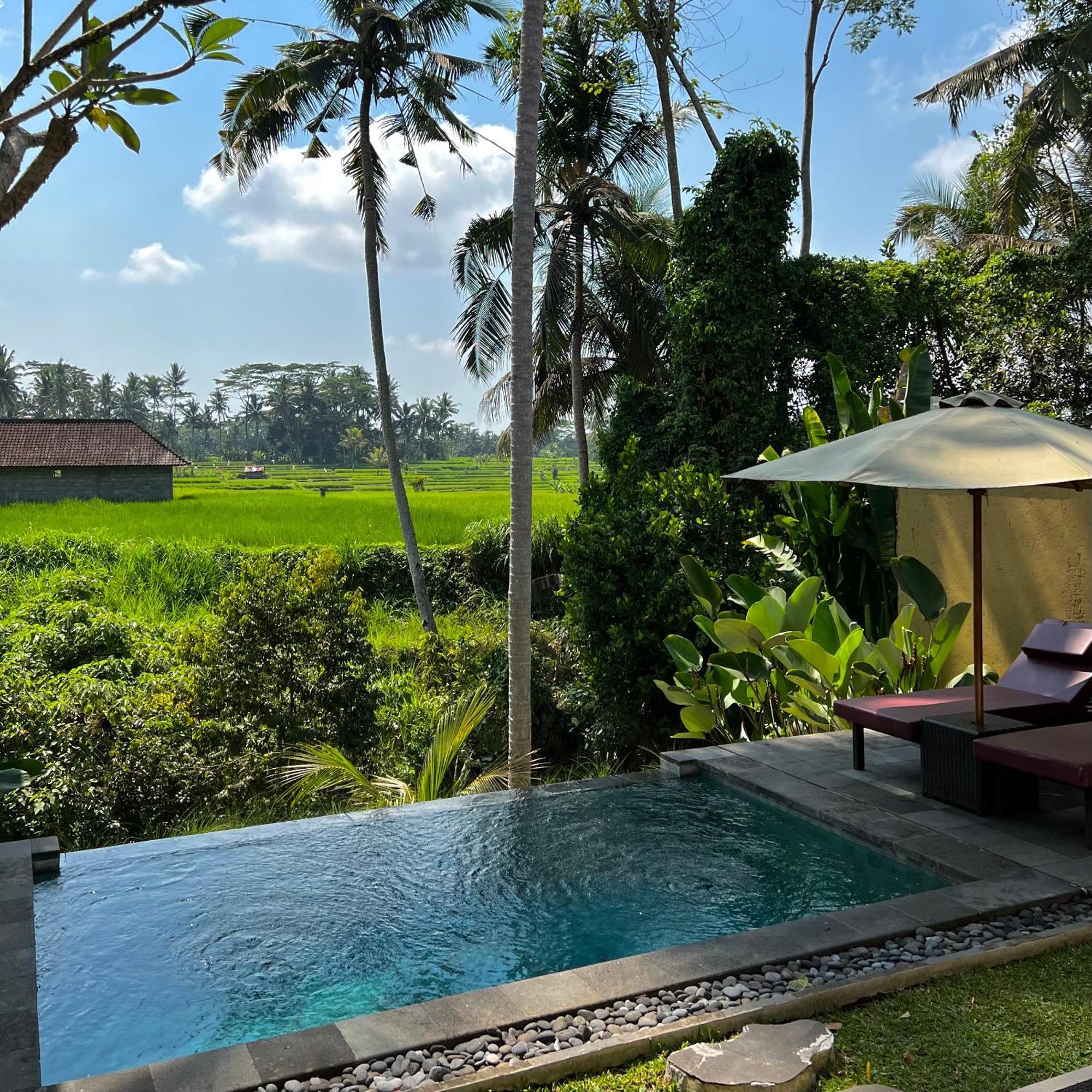 Kubu Bali Baik Villa & Resort - Chse Certified Ubud  Exterior photo
